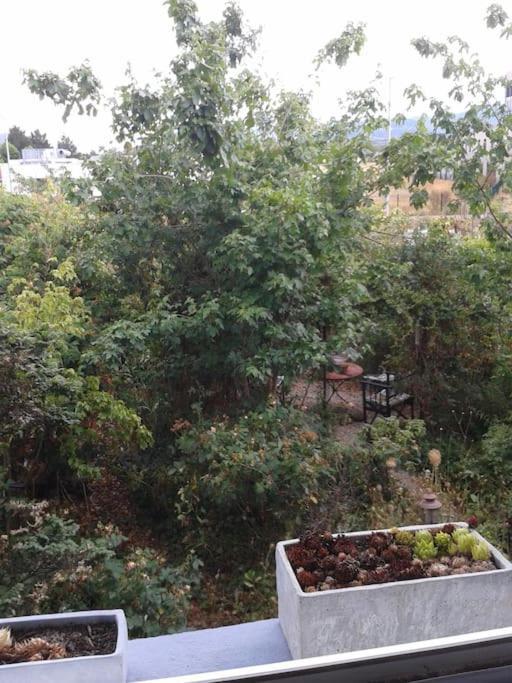 Logement Independant Colmar Zewnętrze zdjęcie