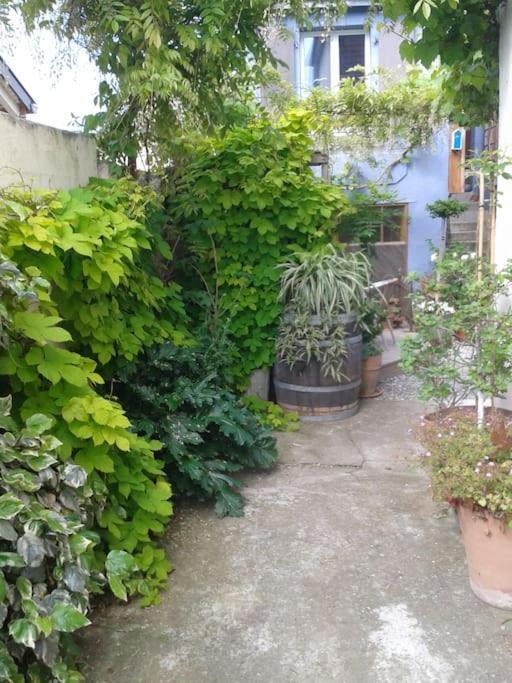 Logement Independant Colmar Zewnętrze zdjęcie
